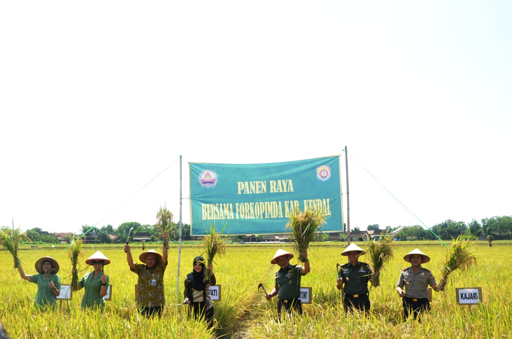 Panen Raya Wujudkan Swasembada Pangan